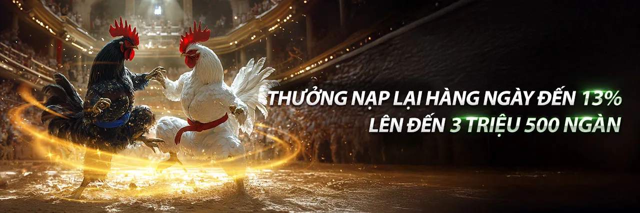 Hình ảnh giới thiệu về 33bet code, nền tảng giải trí trực tuyến hàng đầu Việt Nam