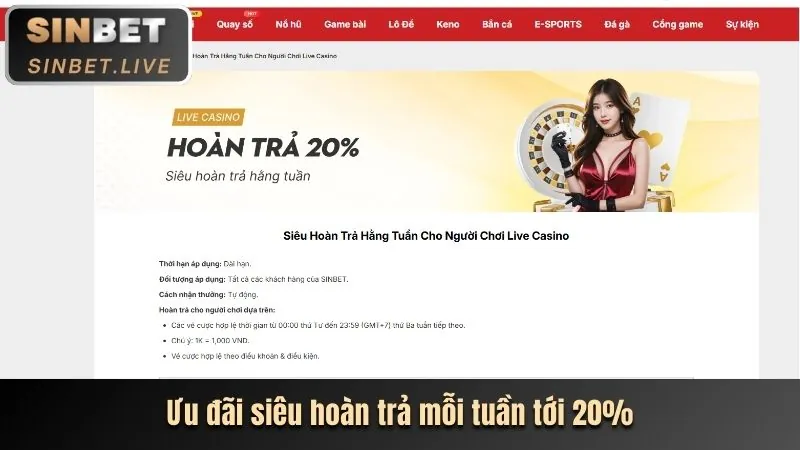 Lợi ích độc quyền 33bet code